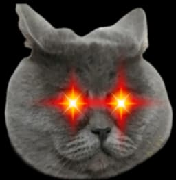 Laser Eyes Meow